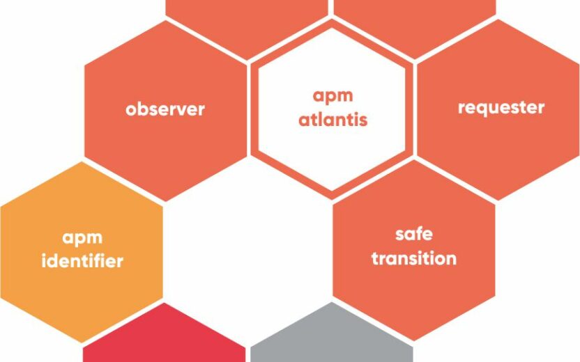 valantic graphic about apm atlantis, SAP Add on for authorization management