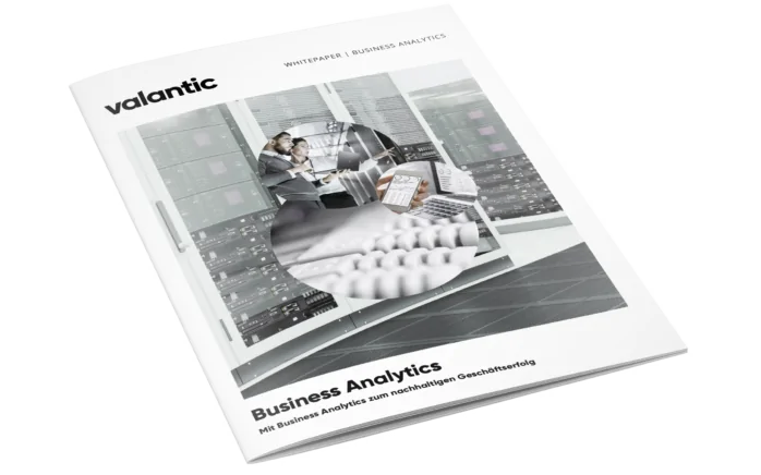 This image shows our Business Analytics whitepaper.
