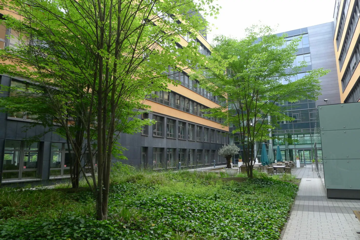Image of a green inner courtyard, valantic branch in Frankfurt am Main