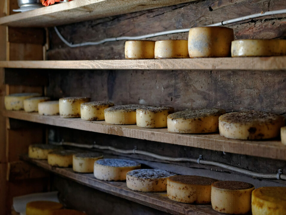 Bild einer Käserei - Lagerung von verschiedenen Käsearten - Emmi Success Story - MicroStrategy