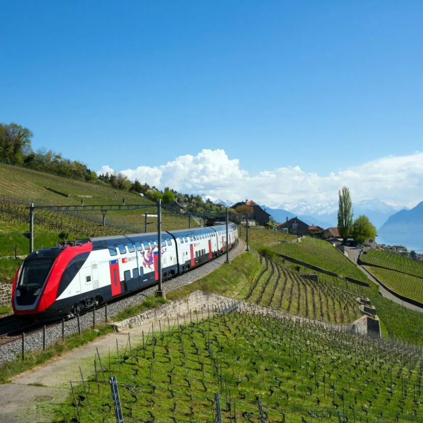 Zug der SBB auf der Fahrt durch die Schweizer Bergwelt | Success Story SBB: Unternehmensplanung mit Anaplan