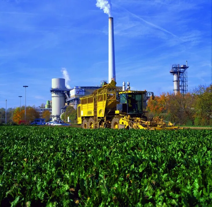 Bild der Rübenernte in Offenau, Südzucker automatisiert SAP Stammdatenpflege mit MDC Master Data Cockpit