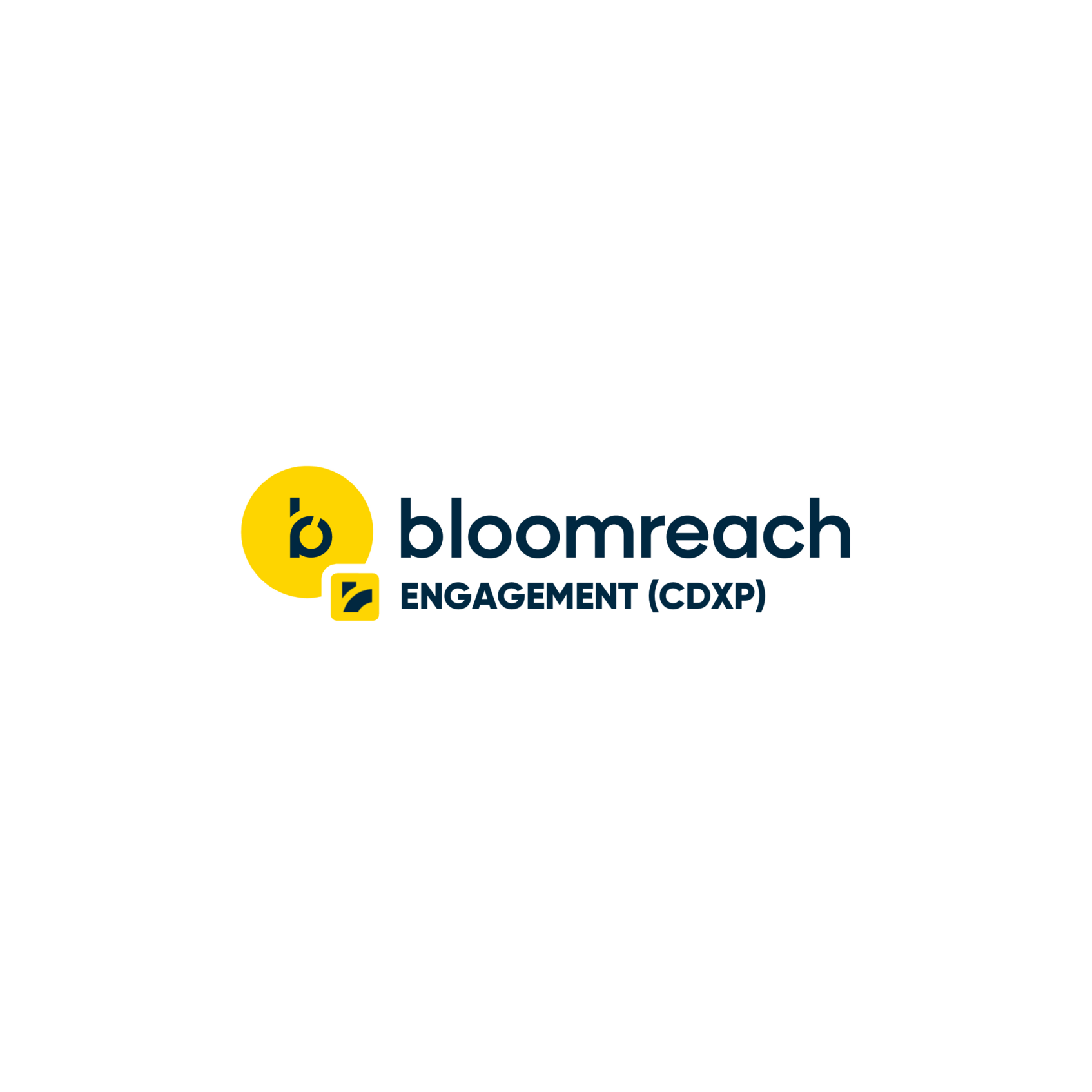 Bloomreach Engagement CDXP