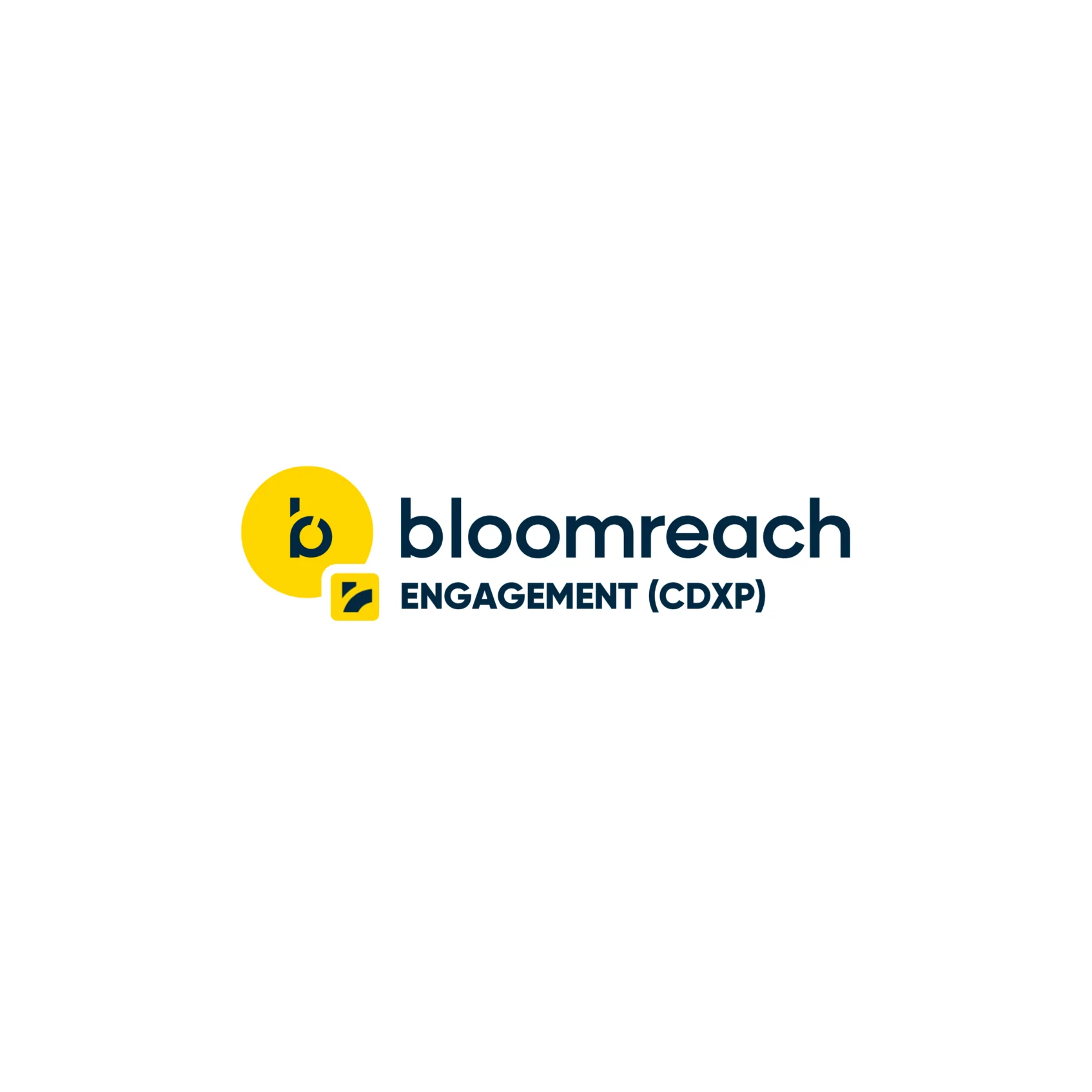 Bloomreach Engagement CDXP
