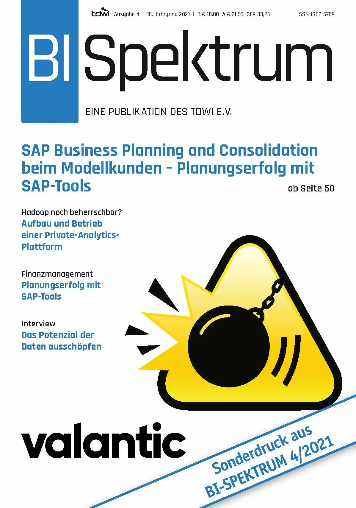 BI Spektrum - Fachartikel SAP Business Planning & Consolidation - Sandra Sertl