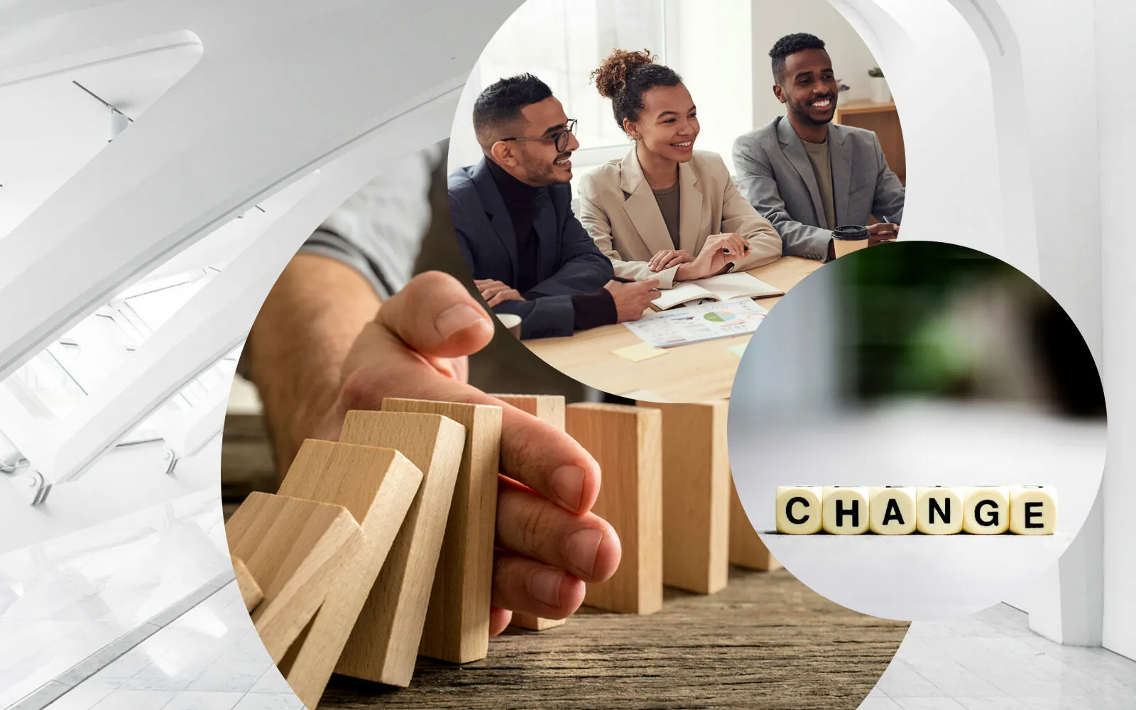 verovis Leistungsportfolio Transformation & Adoption