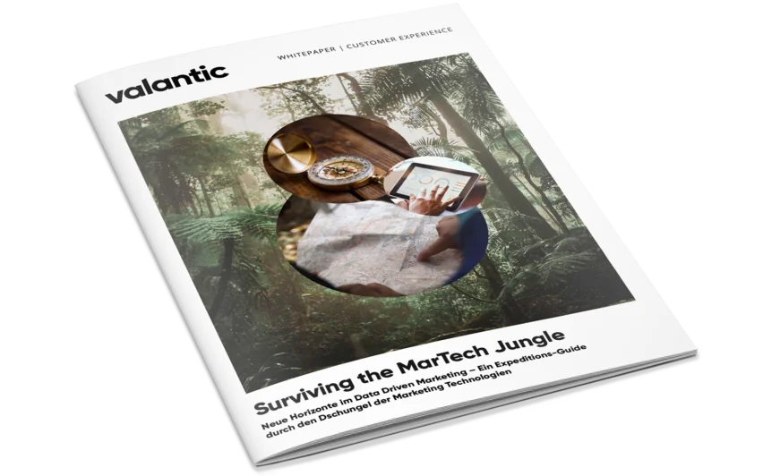 Mockup Whitepaper Surviving the MarTech Jungle