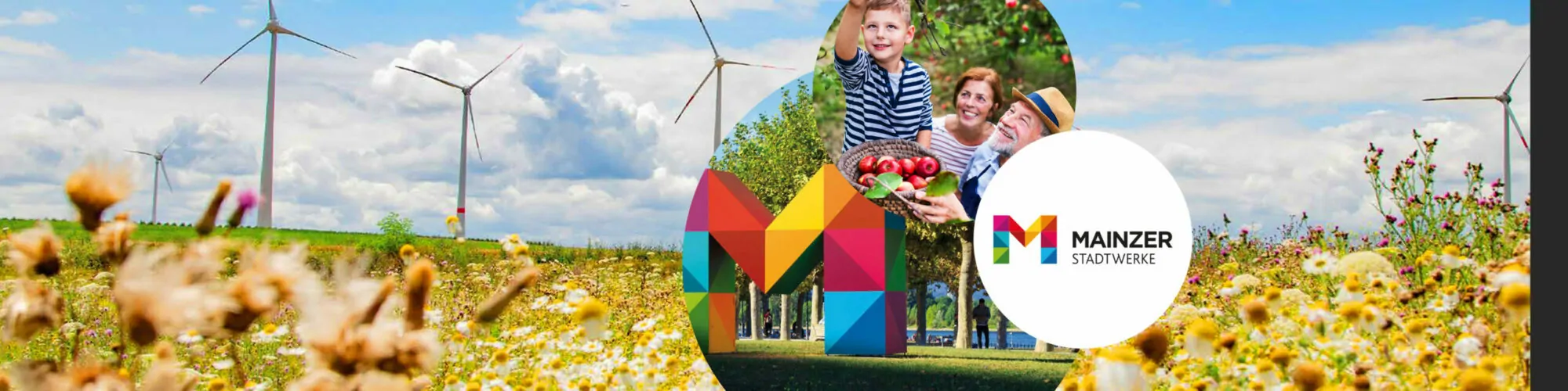 Image of a child picking an apple, wind turbines in the background; Customer Typology for Mainzer Stadtwerke