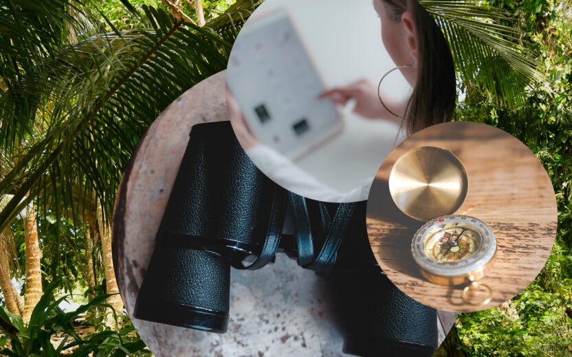 The MarTech Jungle: Customer Data Platforms (CDPs)