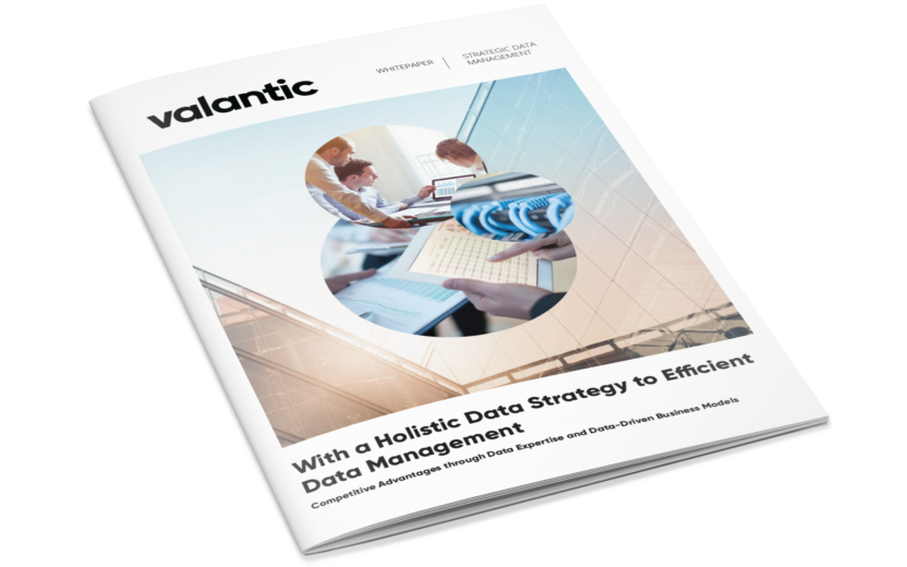 White Paper: With a Holistic Data Strategy to Efficient Data Management