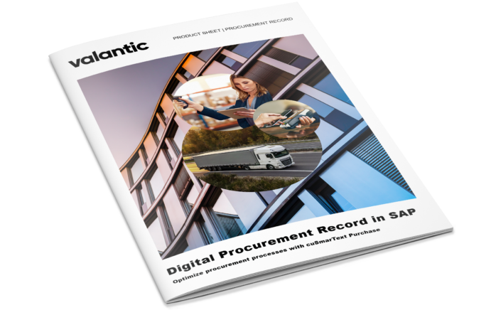Mockup product sheet: procurement record in SAP