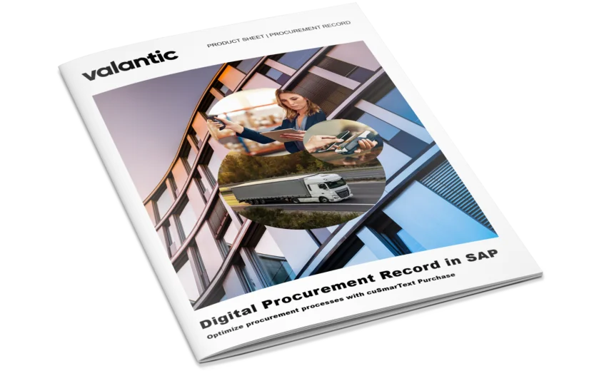 Mockup product sheet: procurement record in SAP