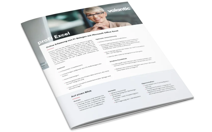 Mockup zum Produktblatt proFI Excel