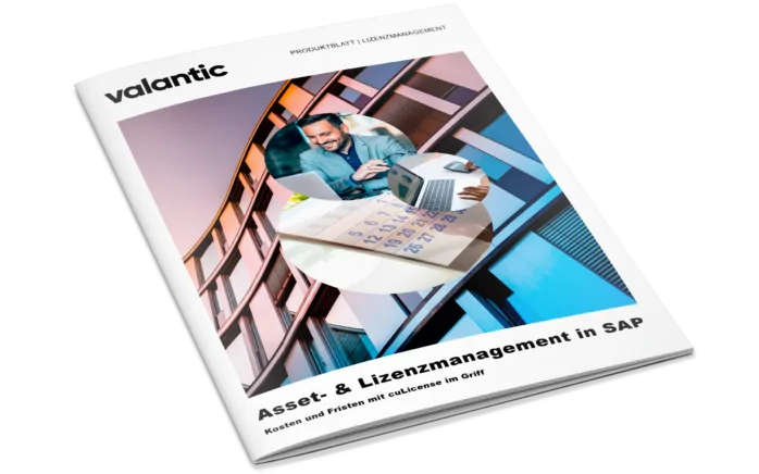 Mockup zum Produktblatt: Asset- & Lizenzmanagement in SAP