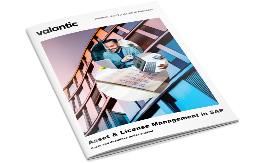 Mockup valantic Asset & License Management in SAP