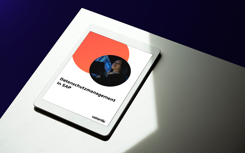 Mockup Produktblatt: Datenschutzmanagement in SAP