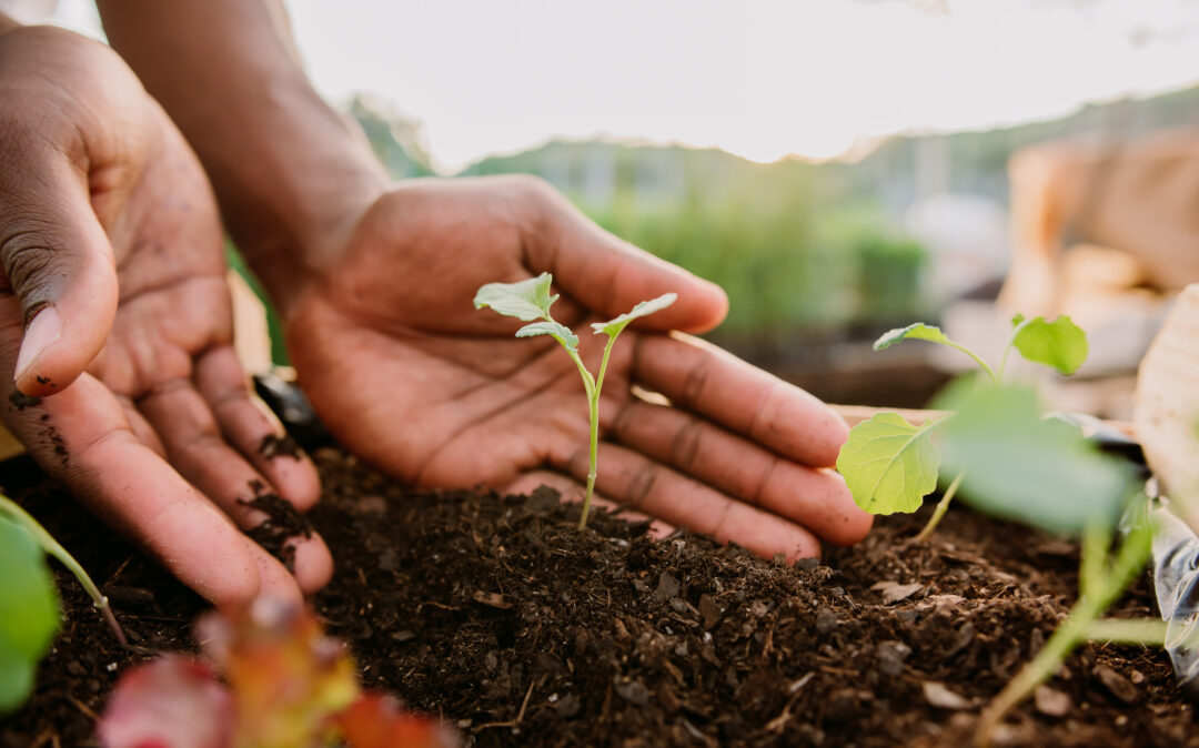 Product Lifecycle Management von valantic