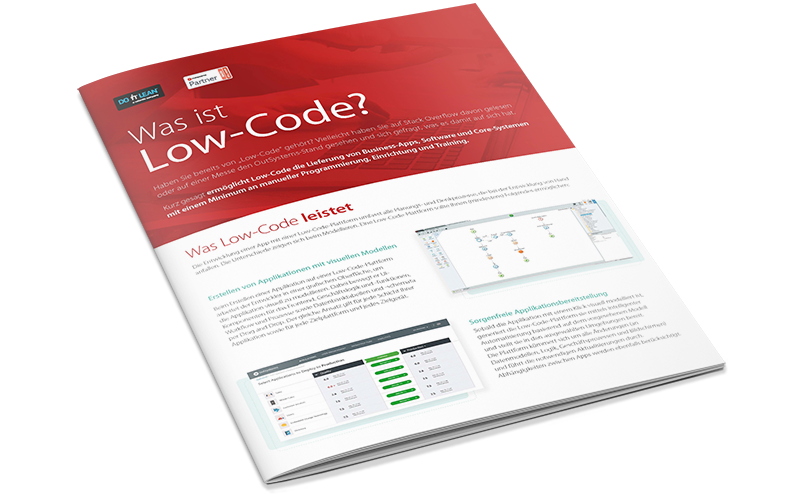 Mockup zum Factsheet "Was ist Low-Code"