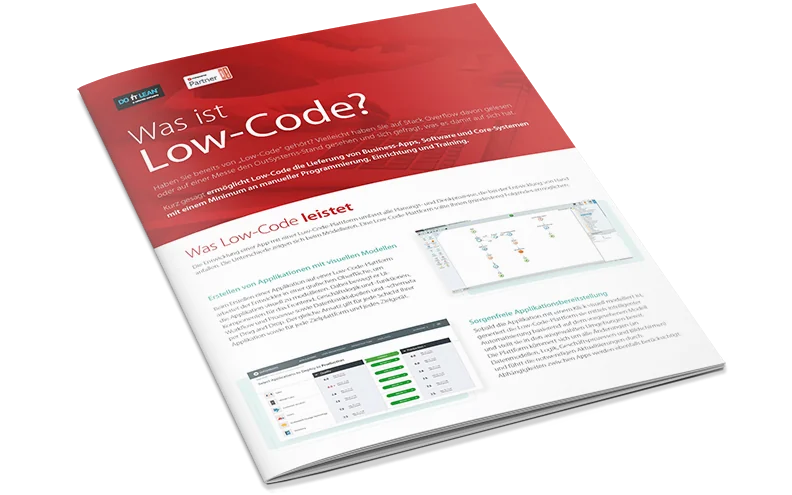 Mockup zum Factsheet "Was ist Low-Code"
