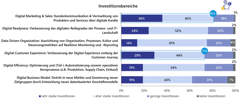 Grafilk von der Lünendonk Studie 2021 "Der Markt für Digital Experience Services in Deutschland" - Investitionsbereiche