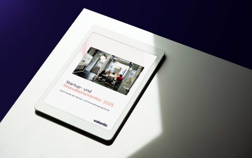 Mockup Studie: Startup- und Innovationsmonitor 2025
