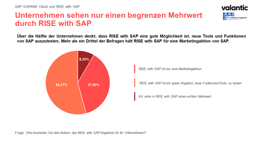 Infografik zur valantic SAP S/4HANA Studie 2022: Mehrwert RISE with SAP