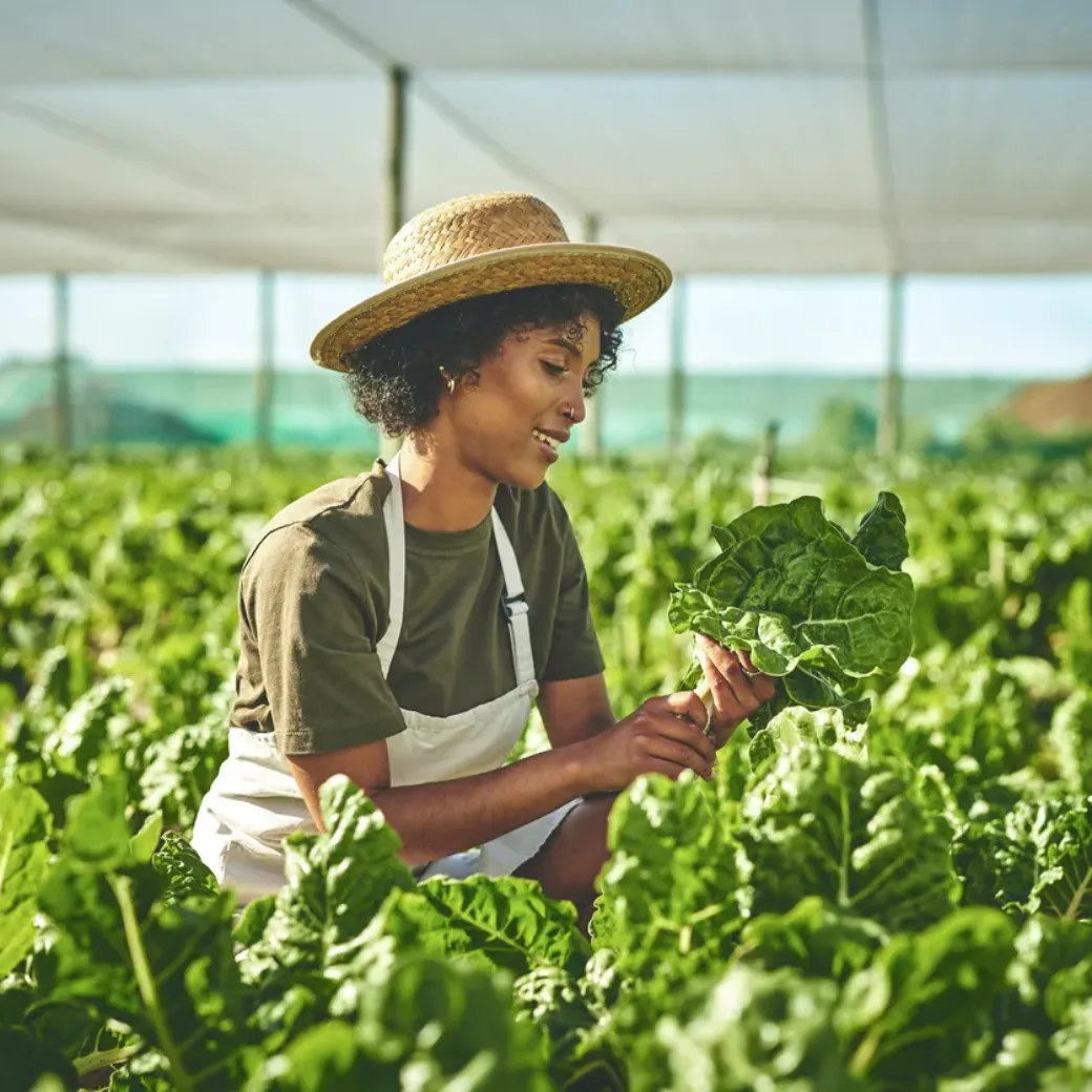 Shot of a young woman working with crops on a farm