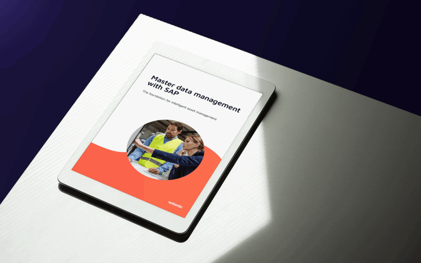 MockUp whitepaper master data management